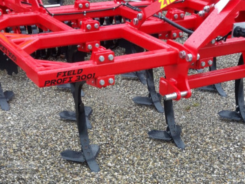 Ziegler Field Profi 3001, Neumaschine, BJ 2019 (Bild 3) Grubber des Typs Ziegler Field Profi 3001, Neumaschine in Lichtenau Stadtgebiet (Bild 3)